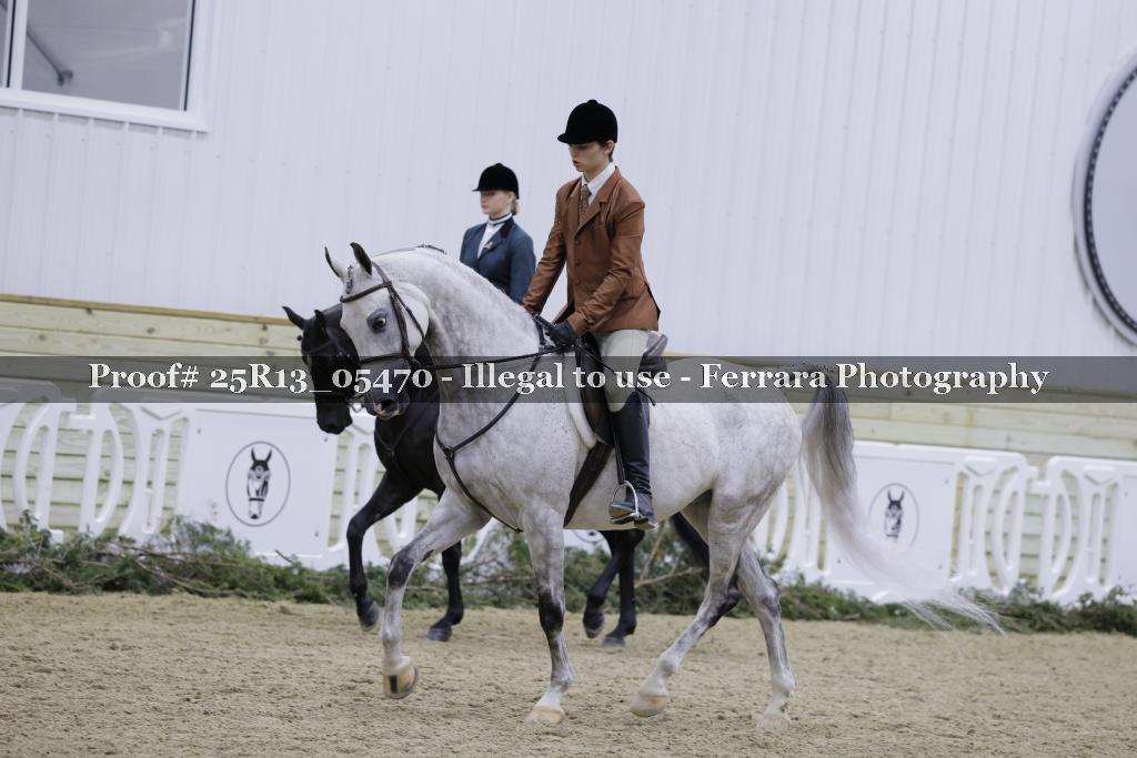 Proof 25R13_05470