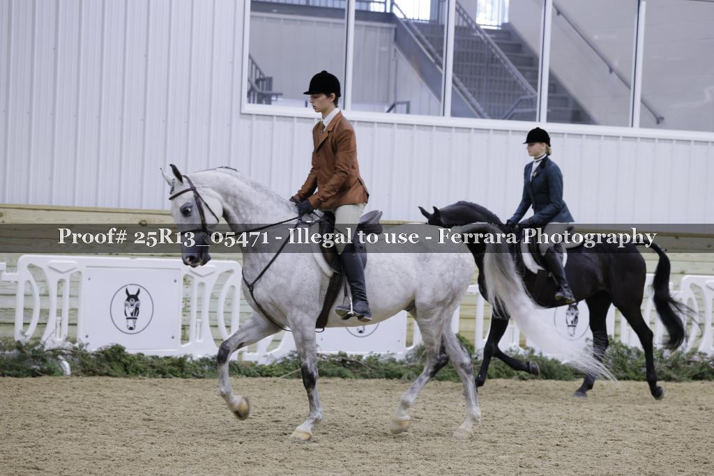 Proof 25R13_05471