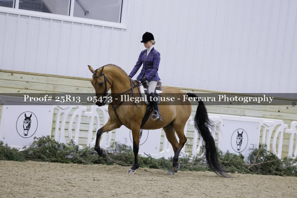 Proof 25R13_05473