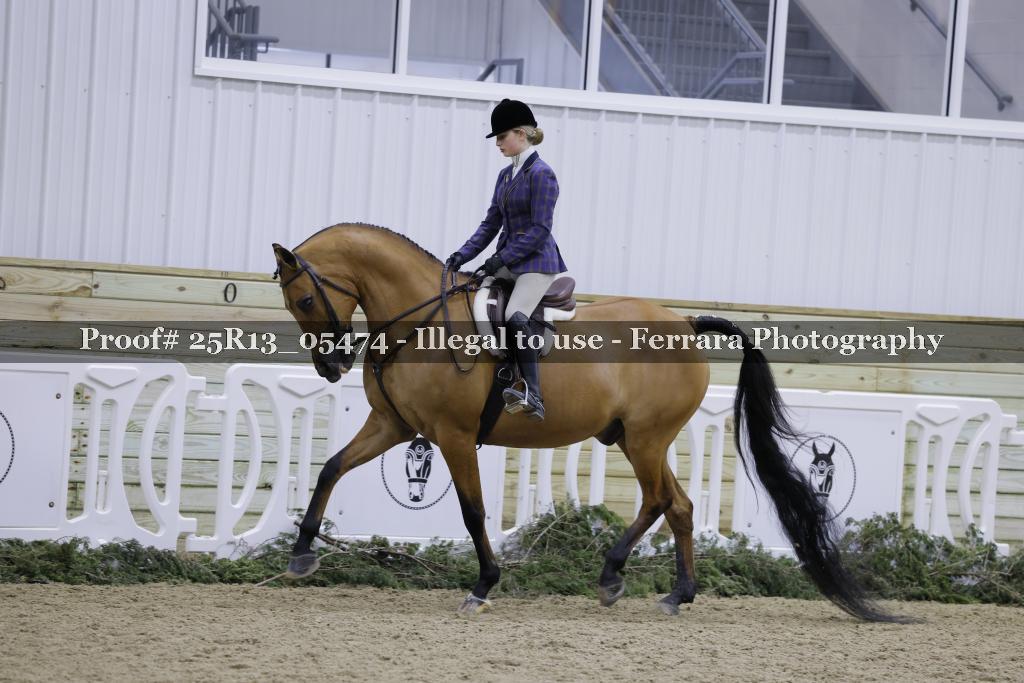 Proof 25R13_05474