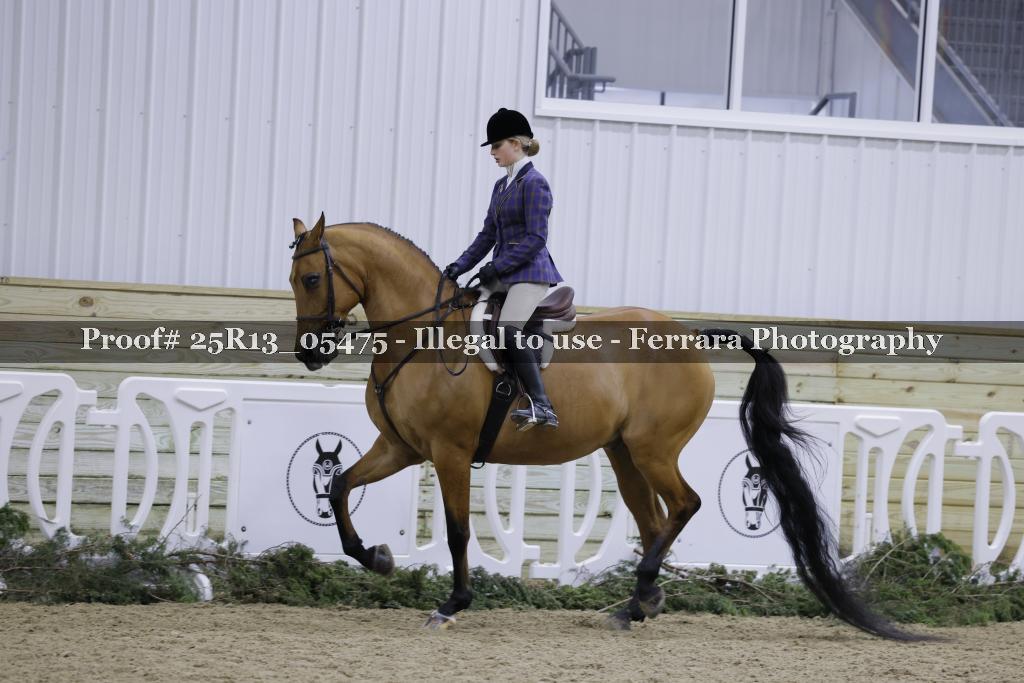 Proof 25R13_05475