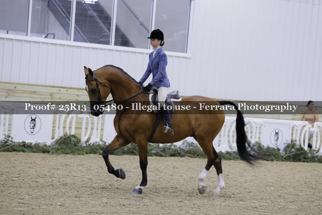Proof 25R13_05480