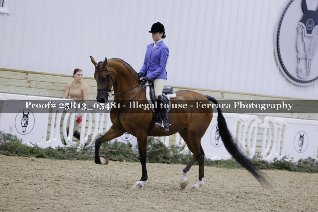Proof 25R13_05481