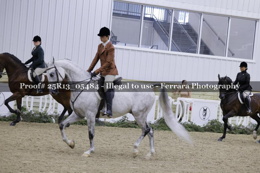 Proof 25R13_05484