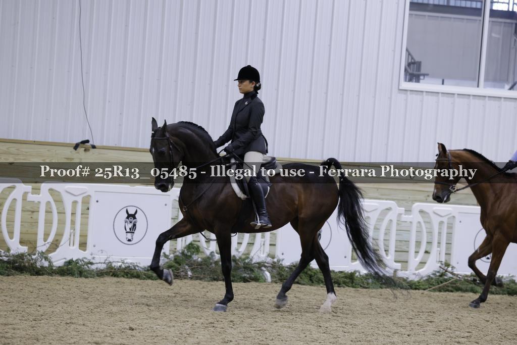 Proof 25R13_05485