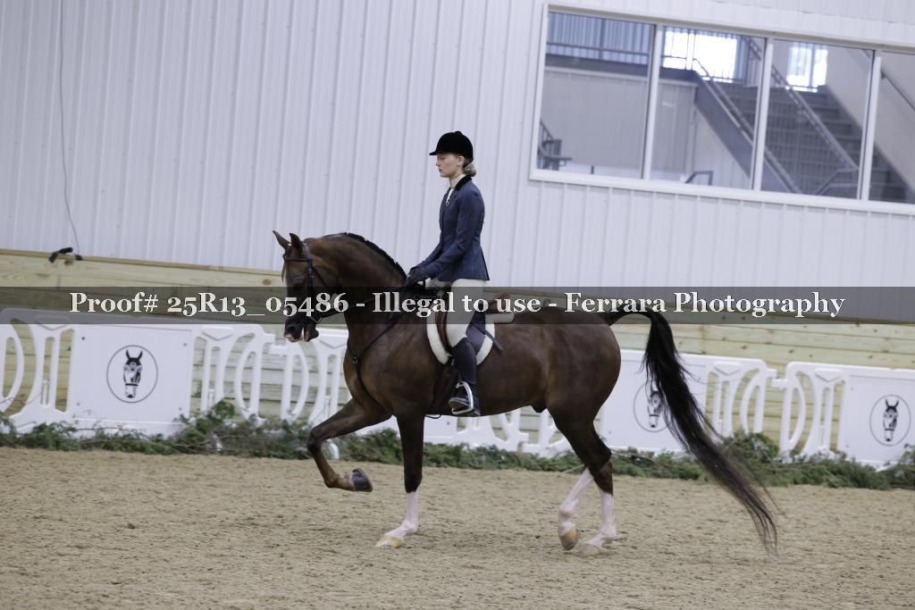 Proof 25R13_05486