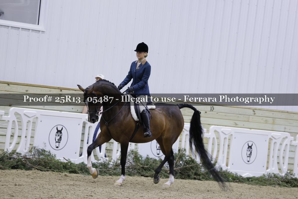Proof 25R13_05487
