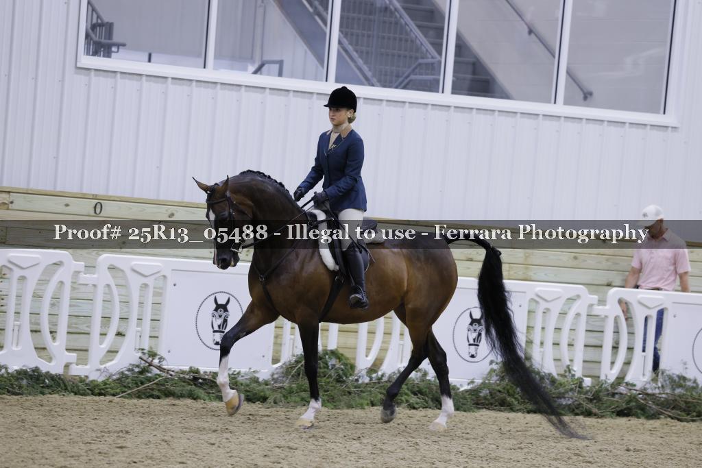 Proof 25R13_05488