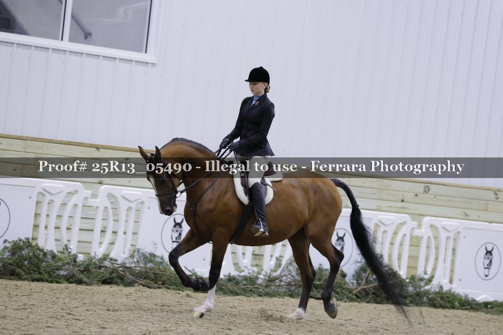 Proof 25R13_05490