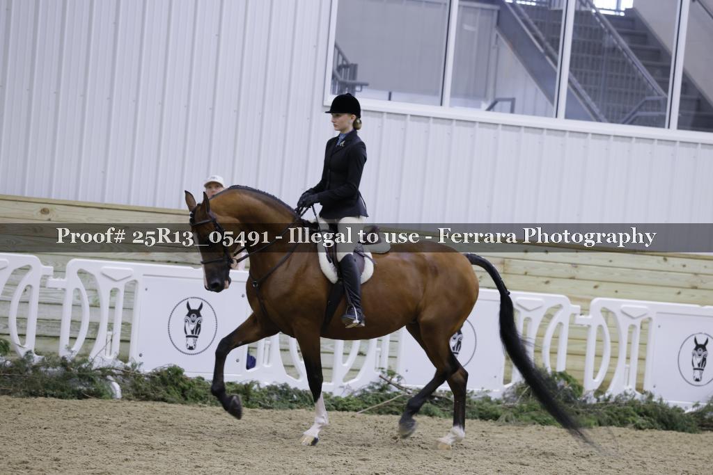 Proof 25R13_05491