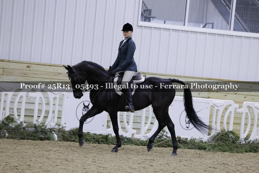 Proof 25R13_05493