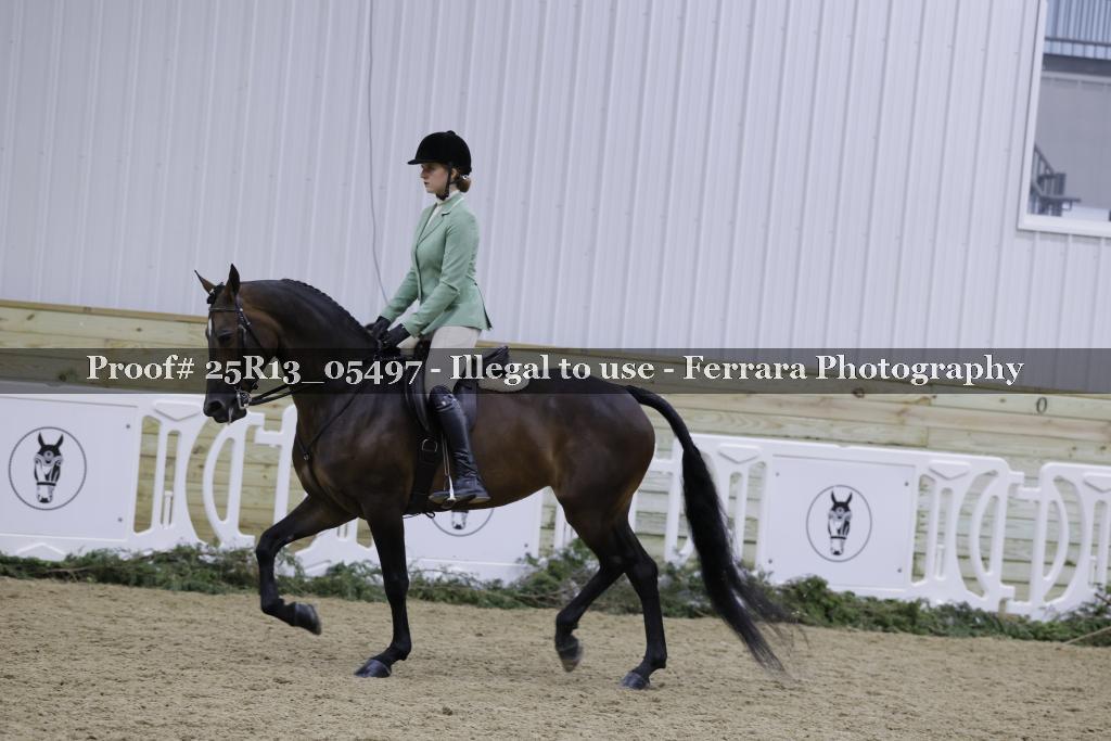 Proof 25R13_05497