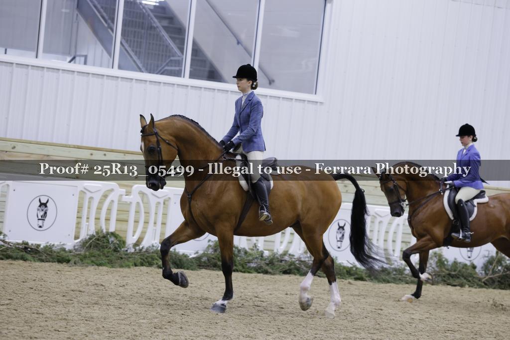 Proof 25R13_05499