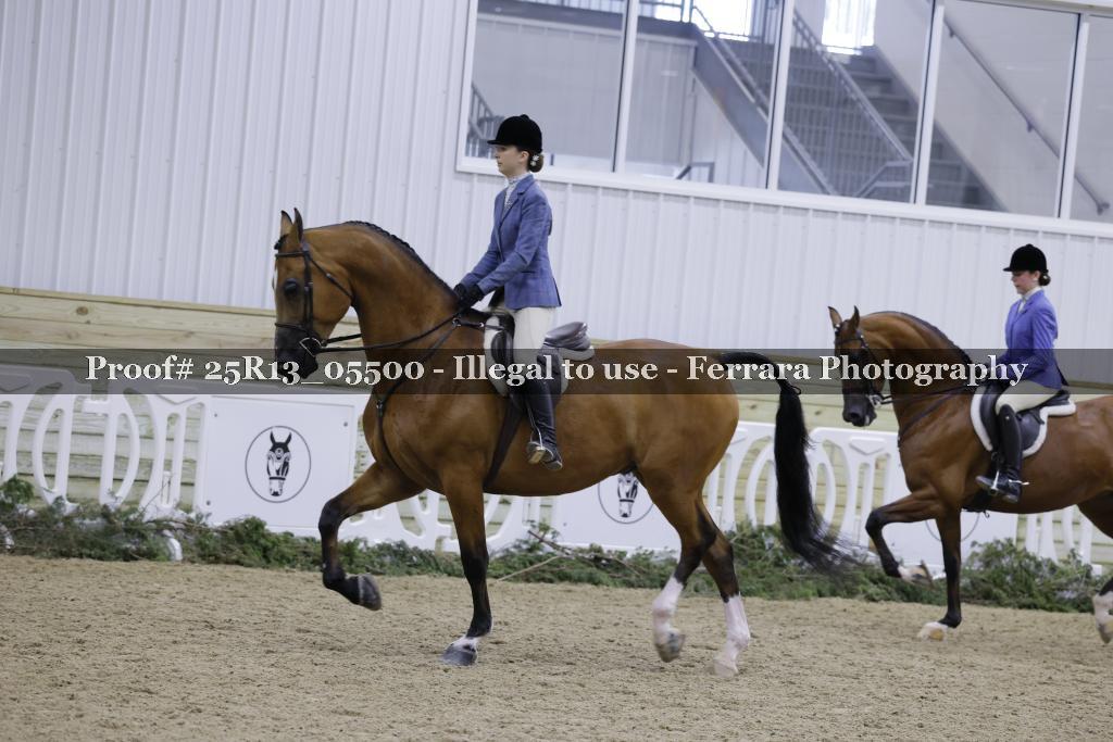 Proof 25R13_05500
