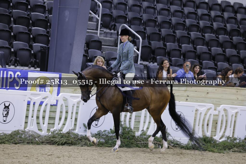Proof 25R13_05515