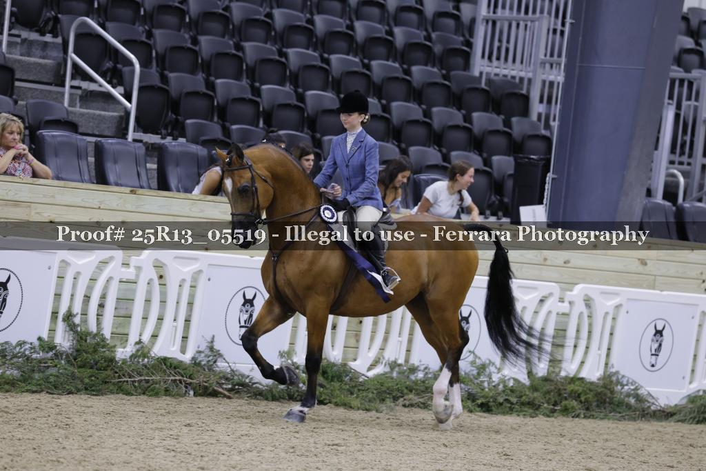 Proof 25R13_05519