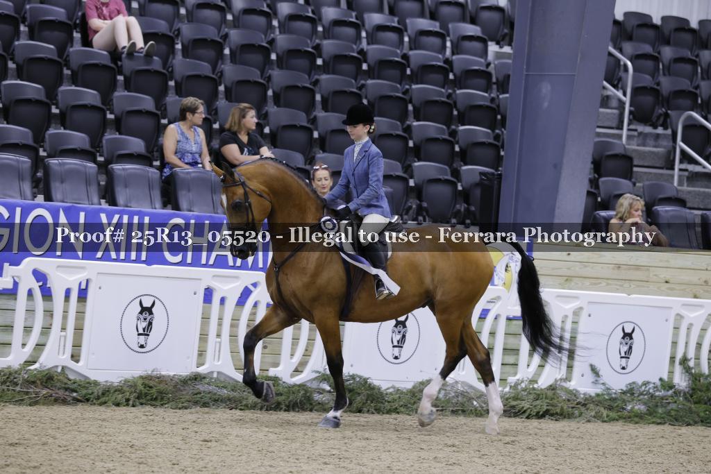 Proof 25R13_05520