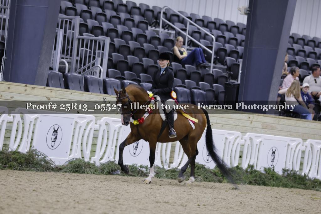 Proof 25R13_05527