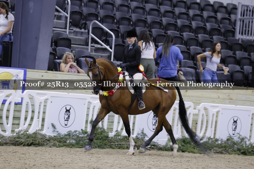 Proof 25R13_05528