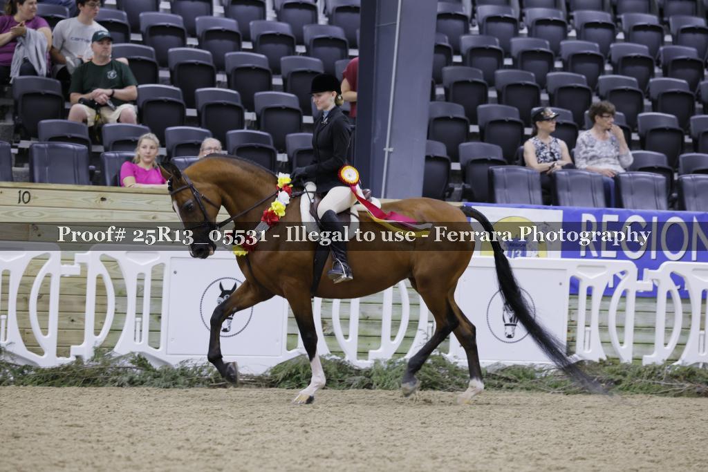 Proof 25R13_05531