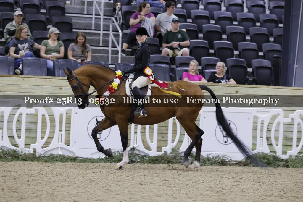 Proof 25R13_05532