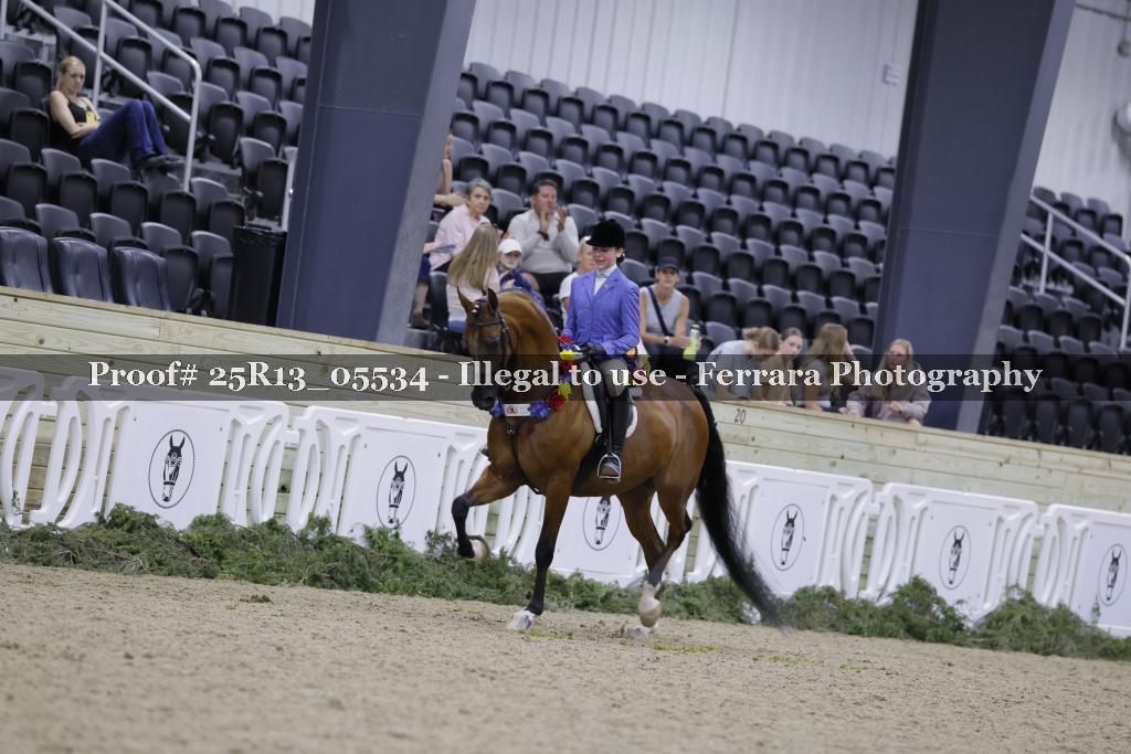 Proof 25R13_05534