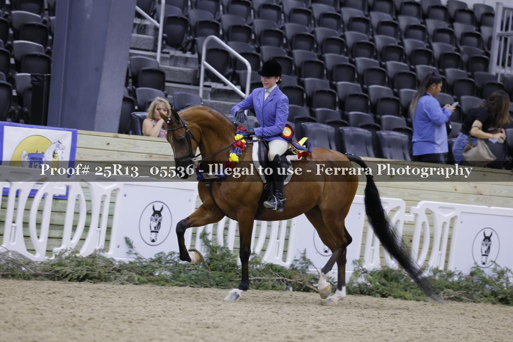 Proof 25R13_05536