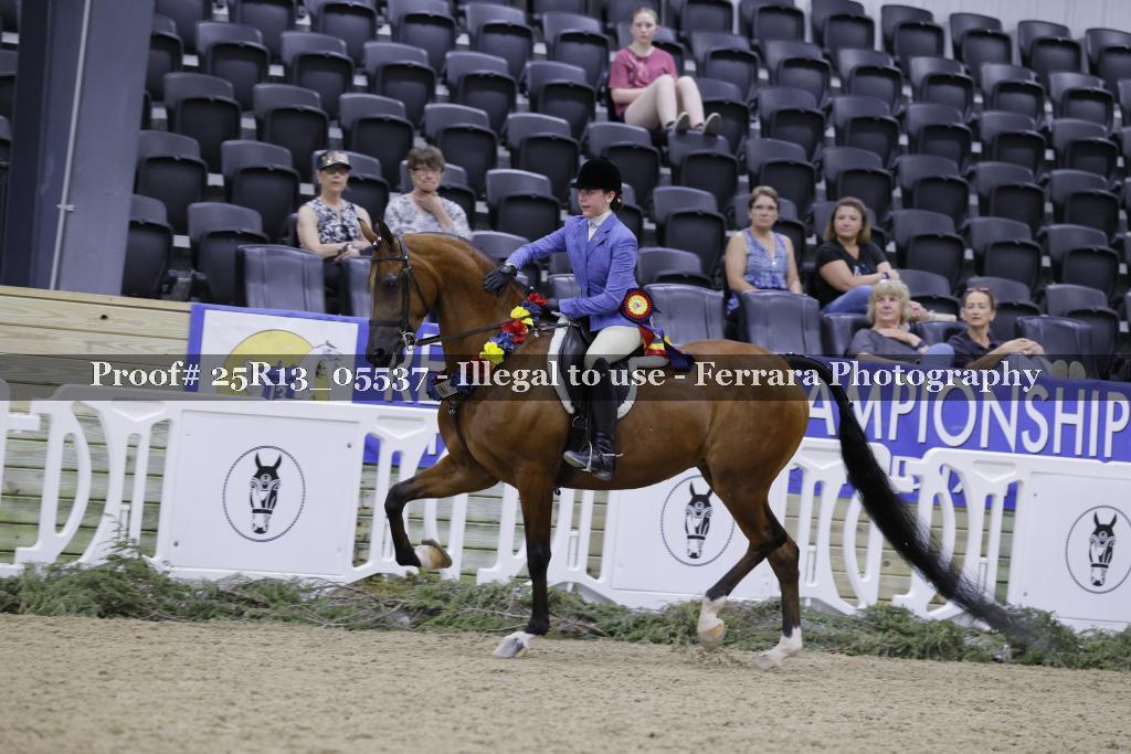 Proof 25R13_05537