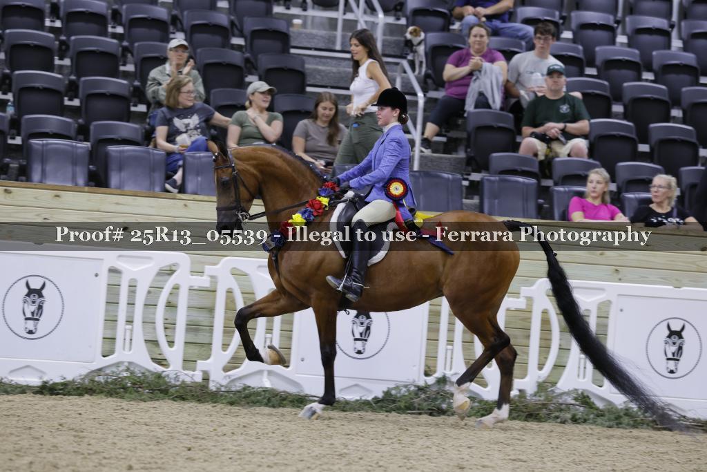Proof 25R13_05539