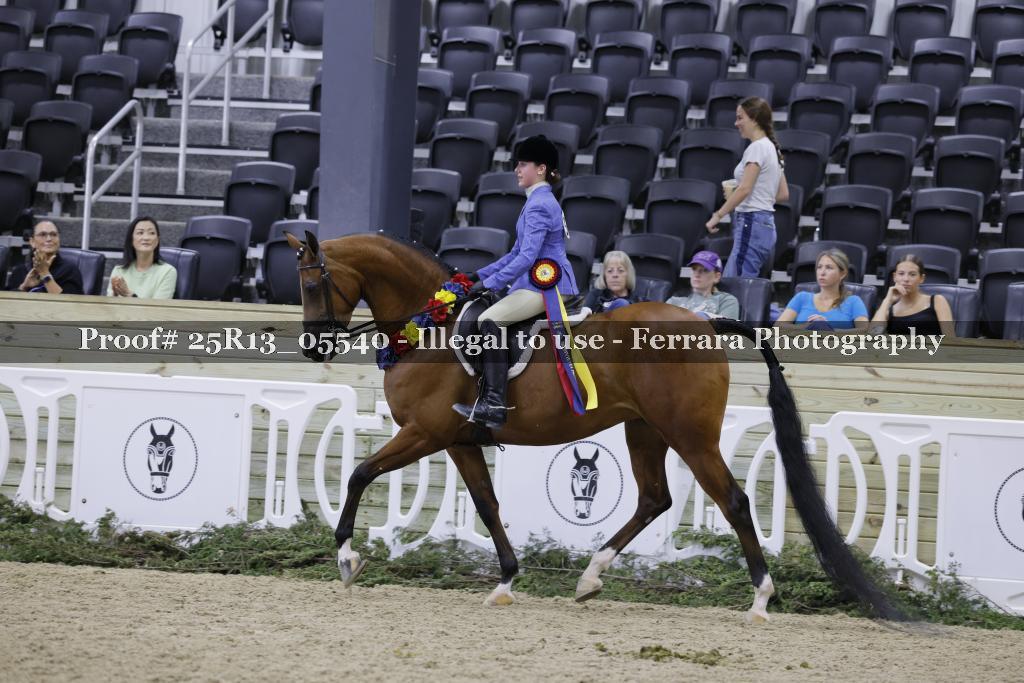 Proof 25R13_05540