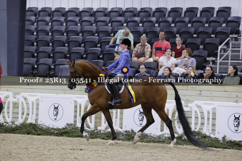 Proof 25R13_05541