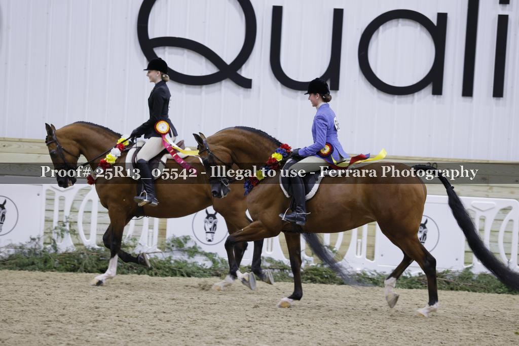 Proof 25R13_05542