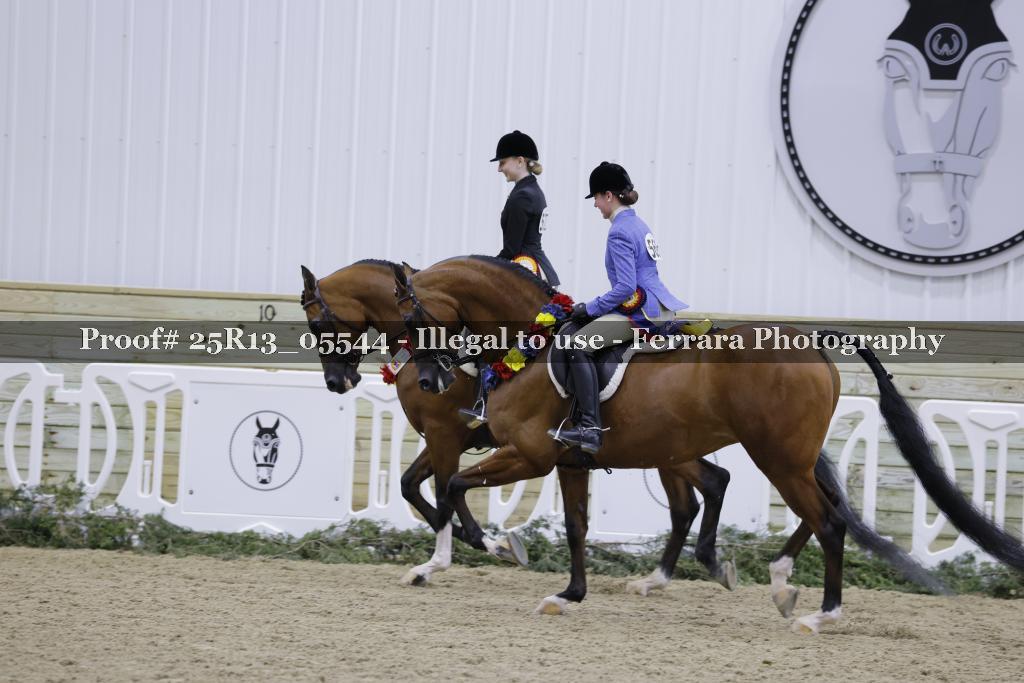 Proof 25R13_05544