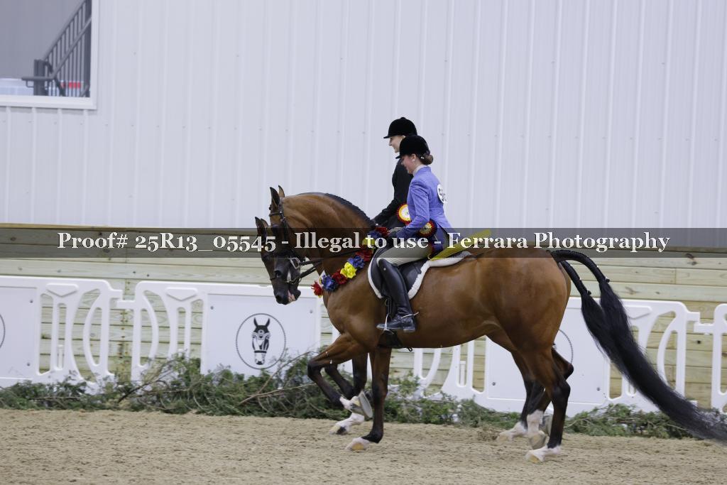 Proof 25R13_05545