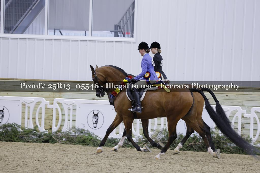Proof 25R13_05546