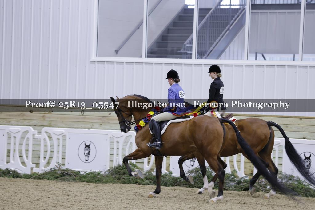 Proof 25R13_05547