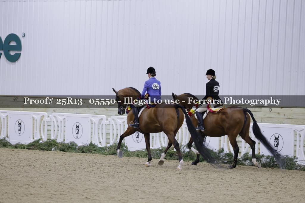 Proof 25R13_05550