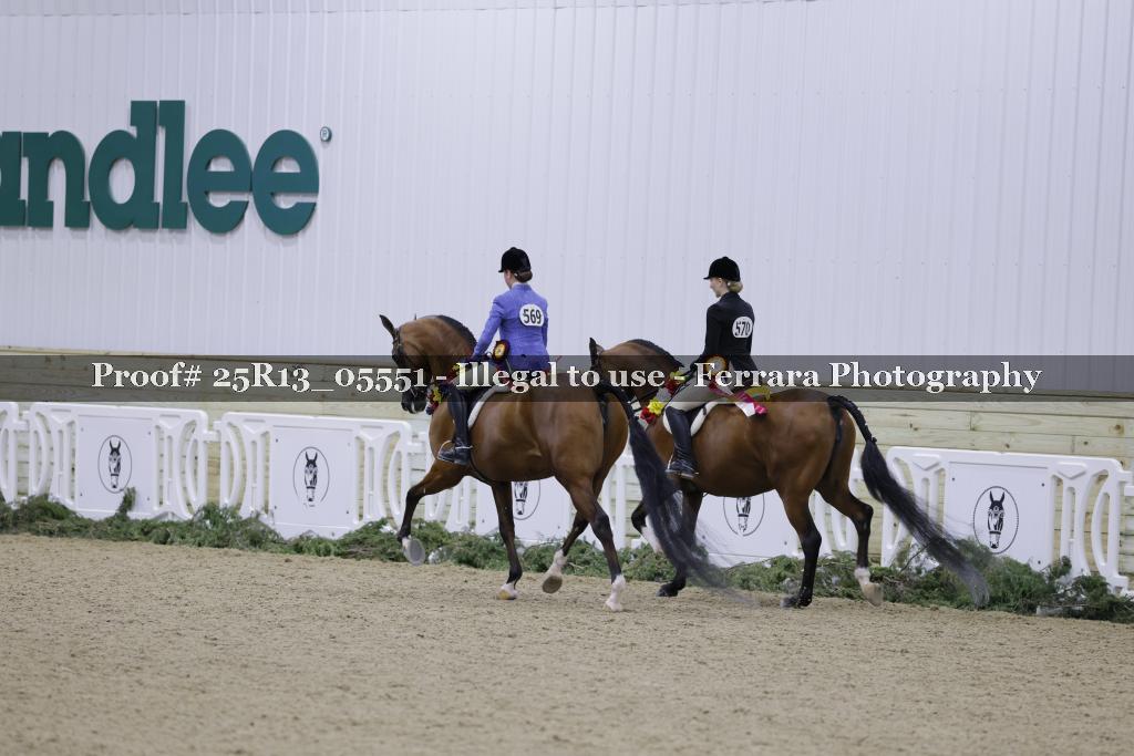 Proof 25R13_05551