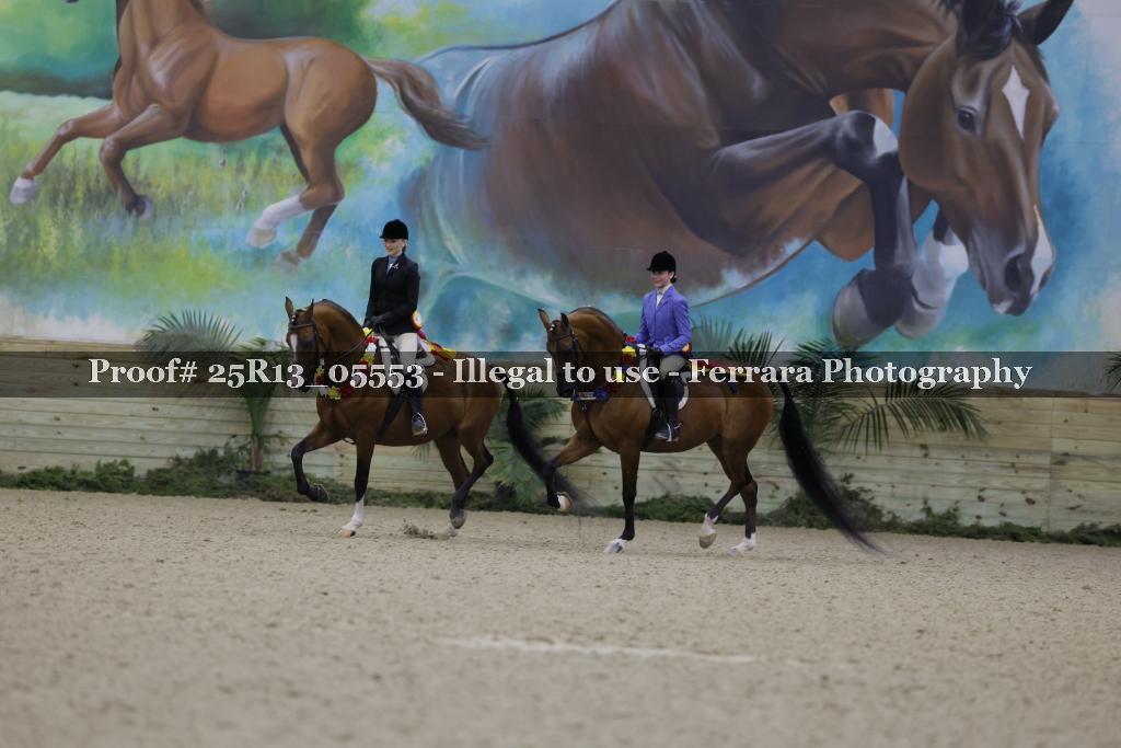 Proof 25R13_05553