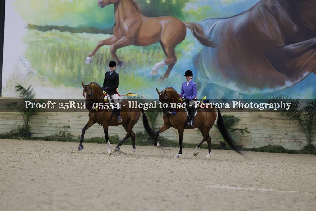 Proof 25R13_05554