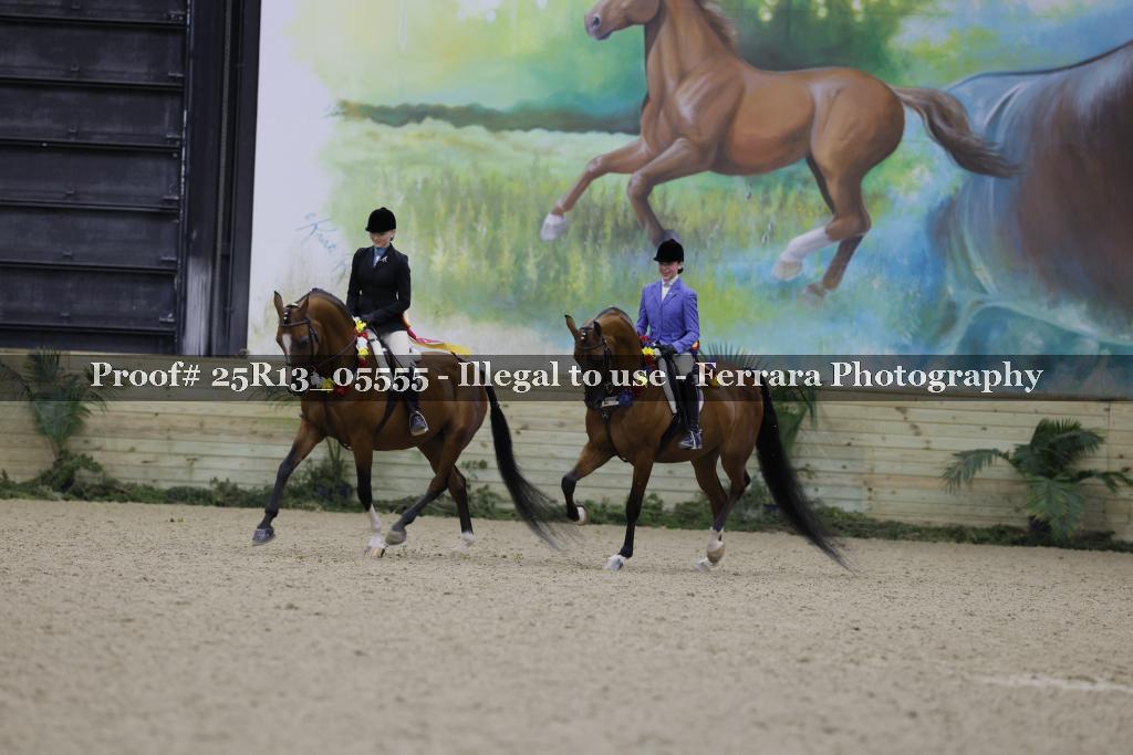 Proof 25R13_05555