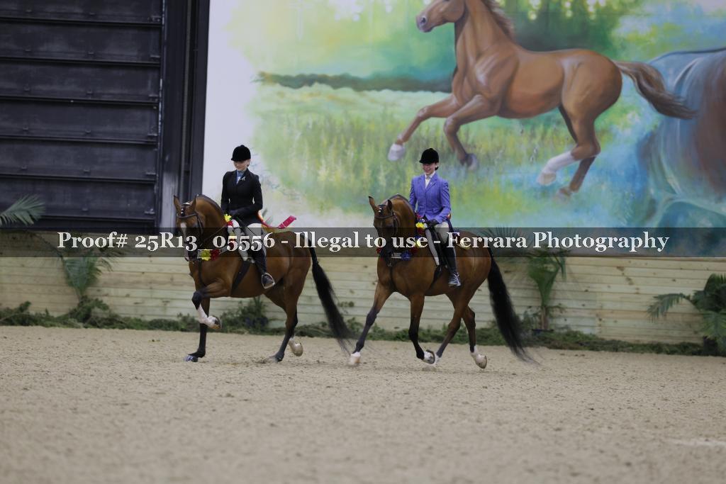 Proof 25R13_05556