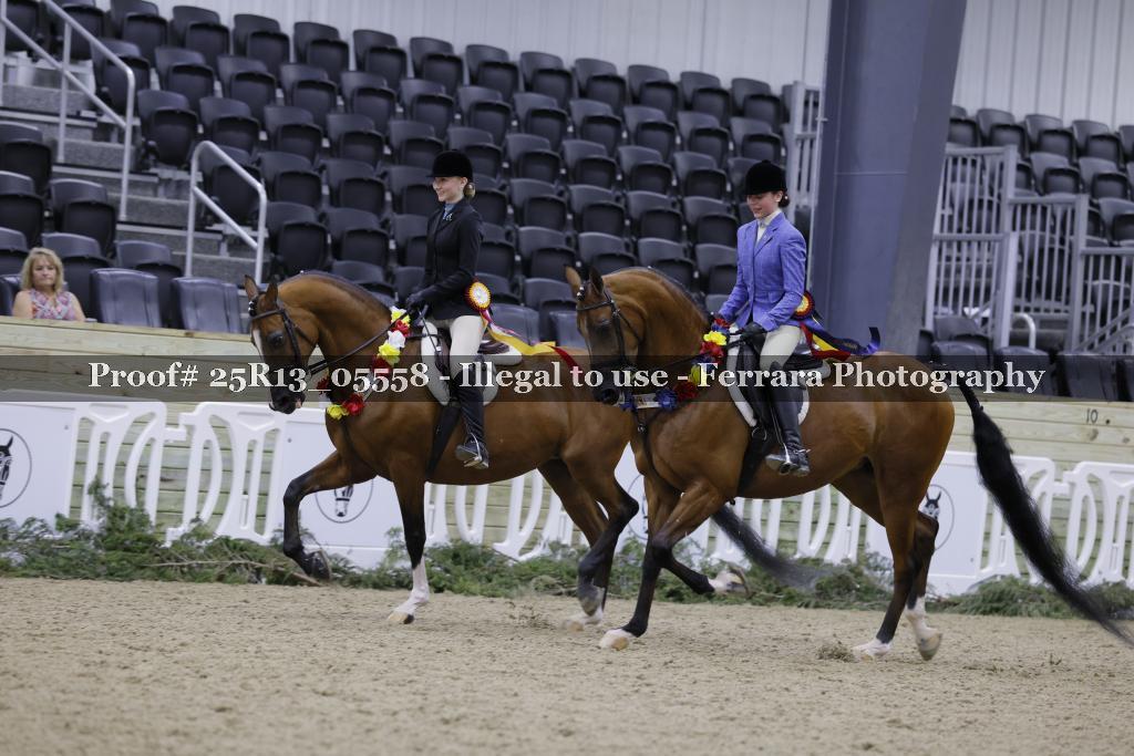 Proof 25R13_05558