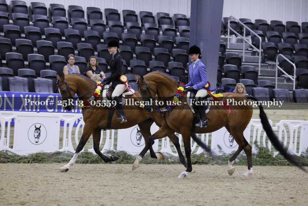 Proof 25R13_05559