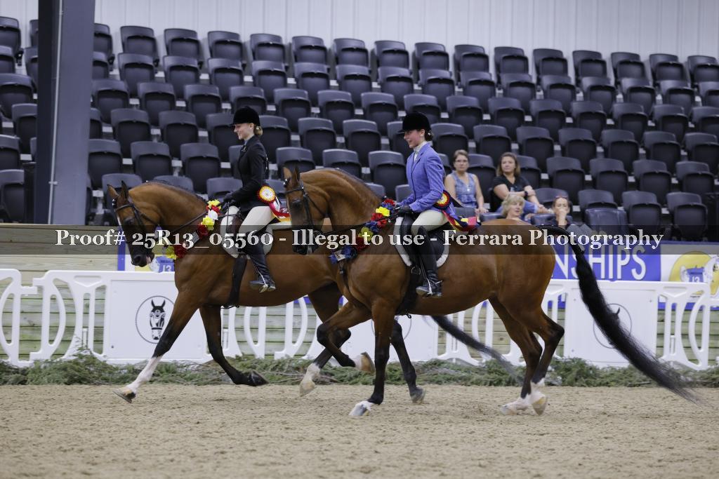 Proof 25R13_05560