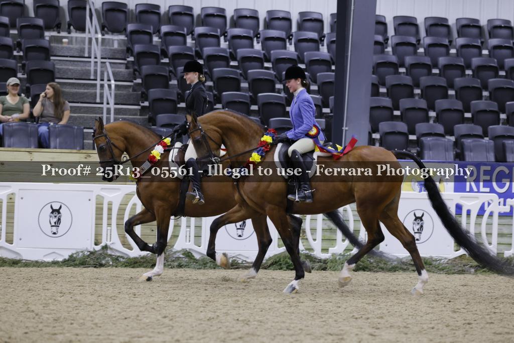 Proof 25R13_05561