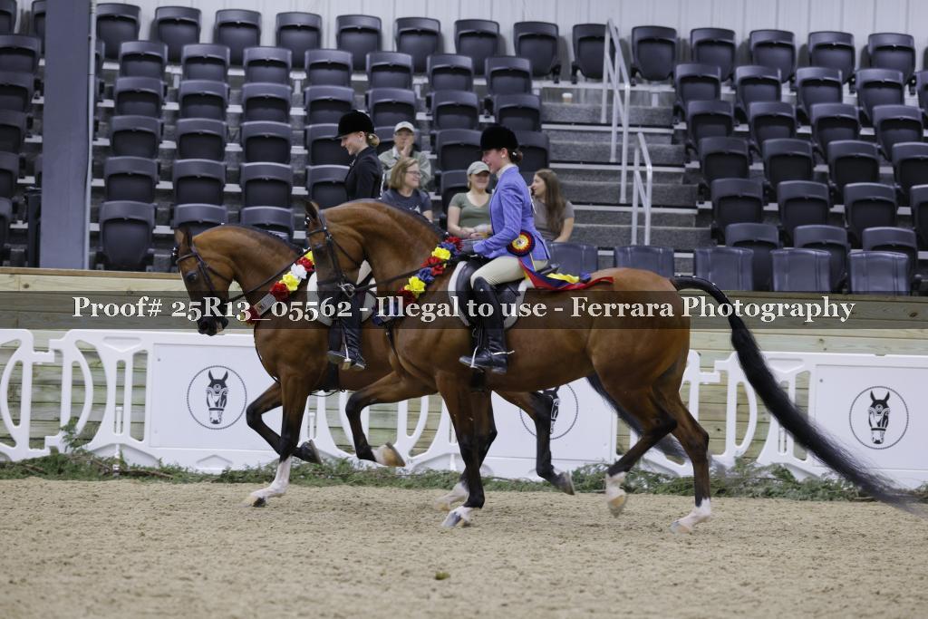 Proof 25R13_05562
