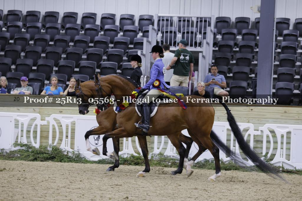 Proof 25R13_05563