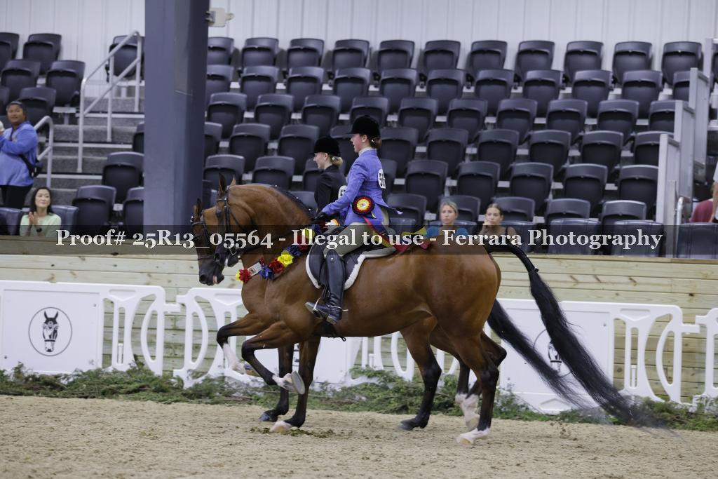 Proof 25R13_05564