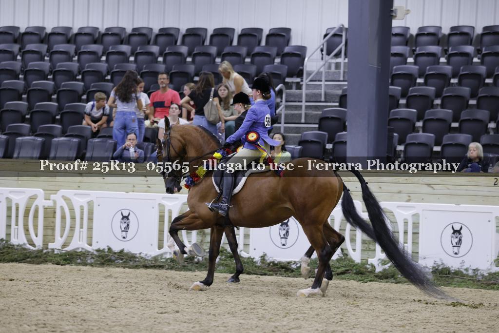 Proof 25R13_05565